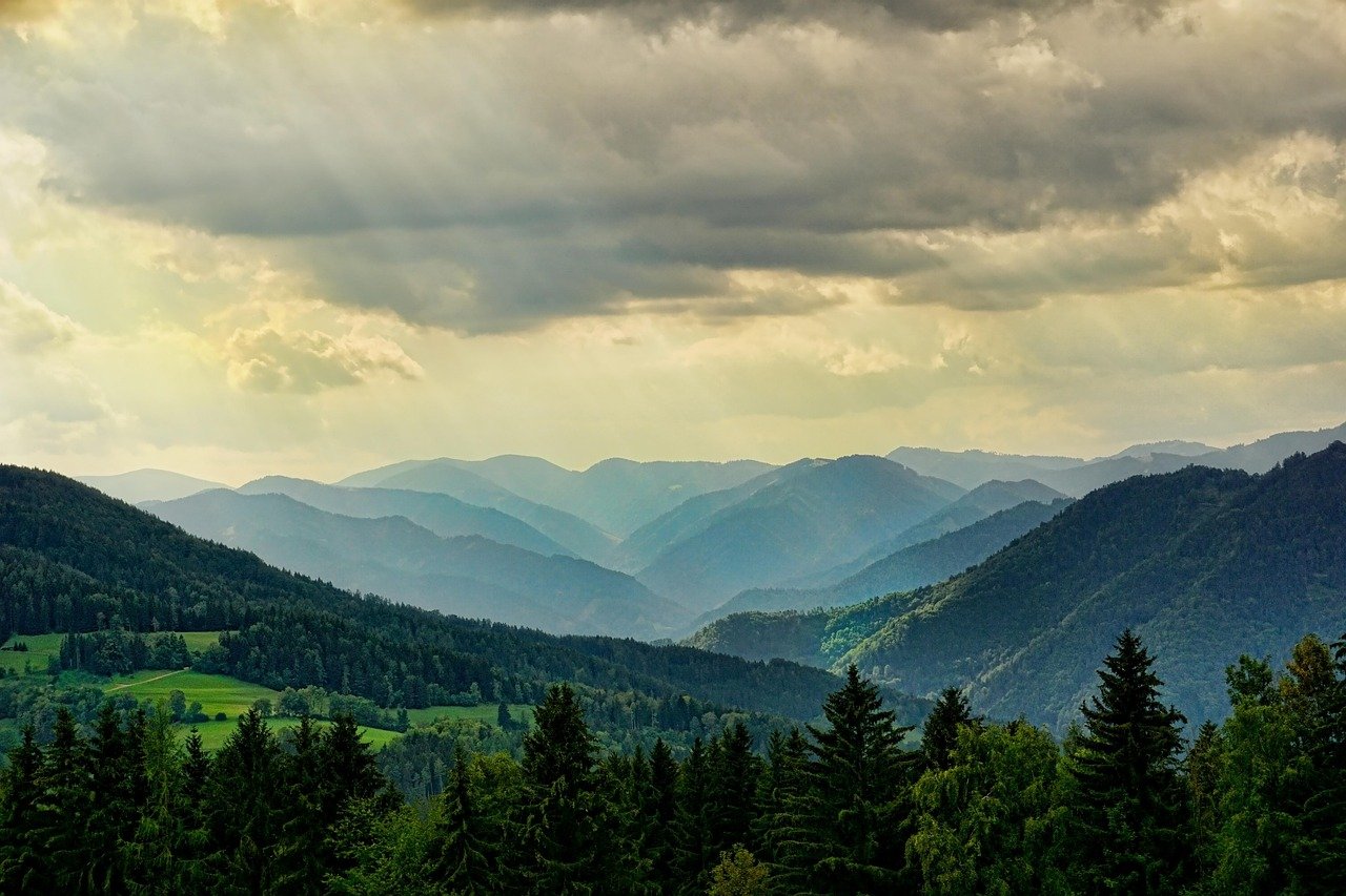 Automatic Gates In Baulkham Hills